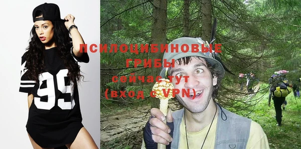 крисы Абдулино