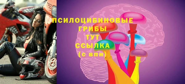 крисы Абдулино