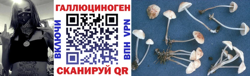 Псилоцибиновые грибы мицелий  hydra сайт  Абдулино 